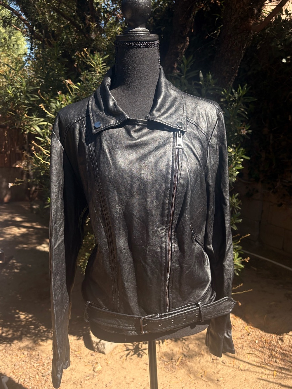 Elodie Black Leather Asymmetrical Moto Jacket with Belt
